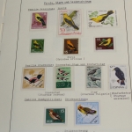 Motivsammlung Vögel, große selbstgestaltete Sammlung