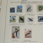 Motivsammlung Vögel, große selbstgestaltete Sammlung