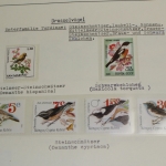 Motivsammlung Vögel, große selbstgestaltete Sammlung