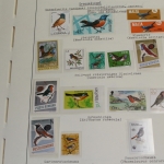 Motivsammlung Vögel, große selbstgestaltete Sammlung