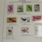 Motivsammlung Vögel, große selbstgestaltete Sammlung