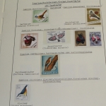 Motivsammlung Vögel, große selbstgestaltete Sammlung