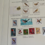 Motivsammlung Vögel, große selbstgestaltete Sammlung