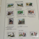 Motivsammlung Vögel, große selbstgestaltete Sammlung