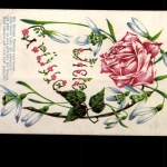 Viele Grüße, rote Rosen und Spruch