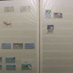 Europa-Union (CEPT), meist postfrische Partie im Einsteckalbum