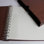 Leuchtturm, brauner Ringbinder "DE"-EXCELLENT mit Schutzkassette