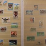 Afrika, Partie verschiedener Staaten in 4 Einsteckalben