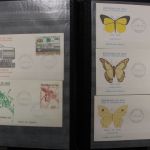 Afrika, Partie verschiedener Staaten in 4 Einsteckalben