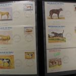 Afrika, Partie verschiedener Staaten in 4 Einsteckalben