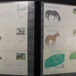 Afrika, Partie verschiedener Staaten in 4 Einsteckalben