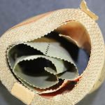 Deutsches Reich, MiNr. 272 Rollenmarken-Partie