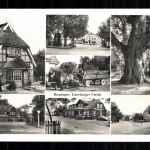 Bispingen, Lüneburger Heide, 7 Ortsansichten