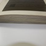 SAFE, Berlin 1948-1990, dual plus-System