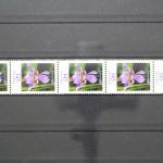 Deutschland (BRD), MiNr. 2507 Fünferstreifen, ZN 145, postfrisch