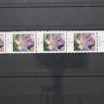 Deutschland (BRD), MiNr. 2480 Fünferstreifen, ZN 475, postfrisch
