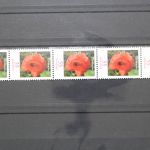 Deutschland (BRD), MiNr. 2472 Fünferstreifen, ZN 340, postfrisch