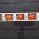 Deutschland (BRD), MiNr. 2471 Fünferstreifen, ZN 480, ESST