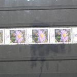 Deutschland (BRD), MiNr. 2463 Fünferstreifen, ZN 385, ESST