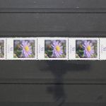 Deutschland (BRD), MiNr. 2463 Fünferstreifen, ZN 395, postfrisch