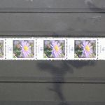 Deutschland (BRD), MiNr. 2463 Fünferstreifen, ZN 330, postfrisch