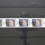 Deutschland (BRD), MiNr. 2463 Fünferstreifen, ZN 190, postfrisch