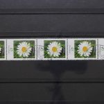 Deutschland (BRD), MiNr. 2451 Fünferstreifen, ZN 315, ESST