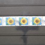 Deutschland (BRD), MiNr. 2434 Fünferstreifen, ZN 355, gestempelt