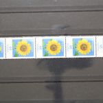 Deutschland (BRD), MiNr. 2434 Fünferstreifen, ZN 175, postfrisch