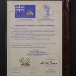 Luftfahrt - Flugzeuge, Dominica - 60 X 16 Dollar in 2 Alben