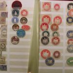 Alte Privatpostmarken und Siegelmarken, Partie im Album