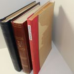 Ungarn bis 1959 mit Nebengebieten, gute Teilsammlung