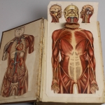 Bilz, Das neue Natur-Heilverfahren, Jubiläumsausgabe