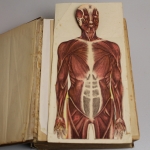 Bilz, Das neue Natur-Heilverfahren, Jubiläumsausgabe