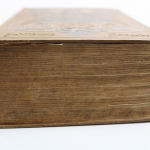 Bilz, Das neue Natur-Heilverfahren, Jubiläumsausgabe