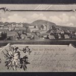 Altenberg im Erzgebirge, Ortsansicht, Blumen