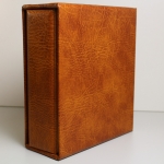 SAFE, 1 brauner Compact-Ringbinder mit Kassette