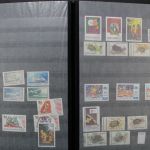 Rumänien, große Sammlung in 4 Einsteckalben, viele Blockausgaben