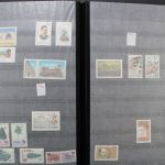 Rumänien, große Sammlung in 4 Einsteckalben, viele Blockausgaben