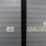 Rumänien, große Sammlung in 4 Einsteckalben, viele Blockausgaben