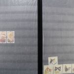 Rumänien, große Sammlung in 4 Einsteckalben, viele Blockausgaben