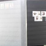 Rumänien, große Sammlung in 4 Einsteckalben, viele Blockausgaben