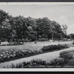 Bad Schmiedeberg, Sonnenpark