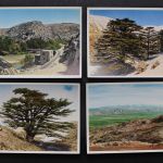 Syrien, 42 Ansichten in Naturfarbenphotographie, UVACHROM A.G.