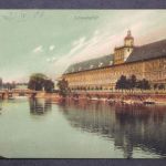 Breslau, Universität
