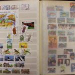 Türkei, gute Sammlung auf Einsteckseiten