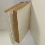 Türkei, gute Sammlung auf Einsteckseiten