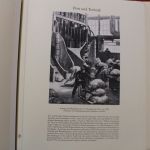 Deutsches Post-Archiv in 17 Borek Alben