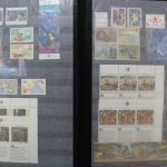 Vereinte Nationen New York 1951-1999, postfrische Sammlung