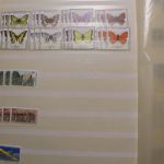 Briefmarken-Posten "Deutschland" in 16 Alben + lose Vordruckblätter